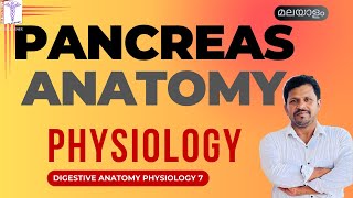 Pancreas Anatomy Physiology Malayalam Digestive Function of Pancreas Malayalam Digestion physiology [upl. by Atilal]