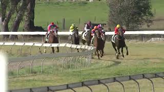 Gulgong 09 06 2024 Race 1 [upl. by Gibbons]