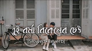 Tui Borsha Bikeler Dheu  Slowed And Reverb  Song  romantic Bengali lofi  song viral [upl. by Barra]