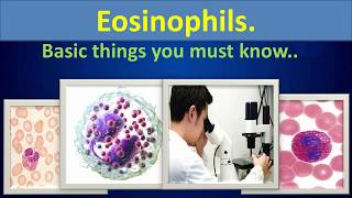 Eosinophils Basic things you must know [upl. by Rakel]