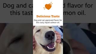 Zesty Paws Pure Wild Alaskan Salmon Oil For Dog The Fintastic Fish Oil Supplement for Dogss [upl. by Sivla290]