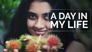 A Day in the Life  Honest Version  Malayalam with English Subs [upl. by Yras]