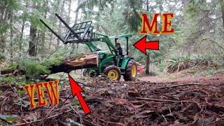 Salvaging And Milling A PACIFIC YEW Log From My Property [upl. by Patrizia947]