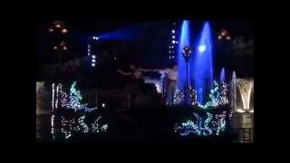 Fantasmic 2011 at Hollywood Studios Full Show [upl. by Pinter]