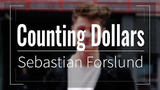 DNER VLOG MUSIK TEIL 8 MINITOUR Counting Dollars  Sebastian Forslund FREE [upl. by Elfreda]