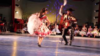 3° Cueca Campeones de arica 2014 [upl. by Ijat]