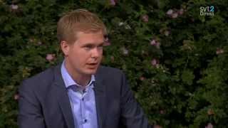 Almedalen 2013  Debatt med Gustav Fridolin MP  Hela intervjun [upl. by Yrmac558]