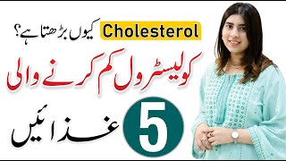 High Cholesterol Diet Plan  Causes Symptoms amp Treatment  By Hamala Khan [upl. by Attenrad]