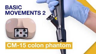 Mastering Colonoscope Insertion Part 2  Tomohiko Richard Ohya MD PhD  Gastroenterology [upl. by Ziegler725]