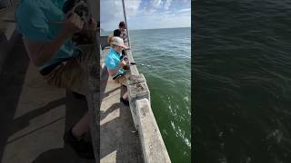 Catching a large fish is really hard shortsvideo [upl. by Ignatz]