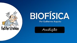 AUDIÇÃO Som  BIOFÍSICA [upl. by Angil283]