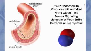 Endothelial Health Webinar [upl. by Gnuy]