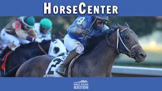 Preakness Stakes and BlackEyed Susan top picks on HorseCenter [upl. by Ahsatak]