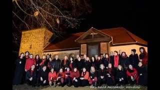 Kantorei Wandlitz  Gospel Mass von Robert Ray Auszug [upl. by Conard]