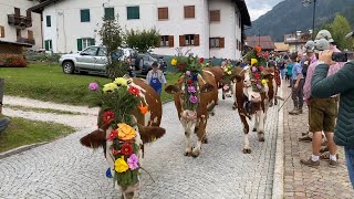 Desmonteada di Soraga di Fassa  Festival del Puzzone 2024 [upl. by Luehrmann248]