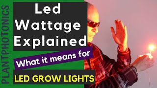 Led Grow Lights  Led Wattage Explained [upl. by Thebazile]