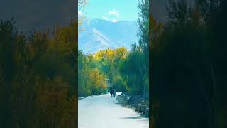 Scenic Road Trip Through Stunning Yellow amp Green Treelined Landscape  Afghanistan Natural Beauties [upl. by Dnarud]