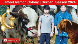 Jameel Memon Colony  Qurbani Season 2024  Vip Cattle Farms  Muniza Sohail Vlogs [upl. by Alyag]