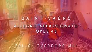 Saint Saëns Allegro Appassionato Op 43 for Cello [upl. by Royal]