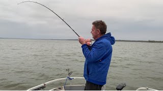 Great evening striper fishing  lake Texoma [upl. by Bogusz]