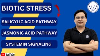 SALICYLIC ACID PATHWAY  JASMONIC ACID PATHWAY  SYSTEMIN SIGNALING  CSIR NET LIFE SCIENCE  GATE [upl. by Ahsuoj428]