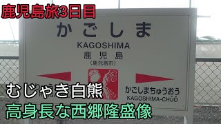 鹿児島旅3日目最終日 鶴丸城 むじゃき白熊 羽田で乗継ダッシュ確定か？ [upl. by Ashatan]