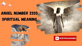 Angel Number 2333 Spiritual Meaning [upl. by Rysler]