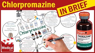 Chlorpromazine Hydrochloride  Thorazine  What is Chlorpromazine Uses Dosage amp Side Effects [upl. by Leasim]