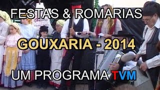 FESTAS DA GOUXARIA 2014 [upl. by Bounds187]