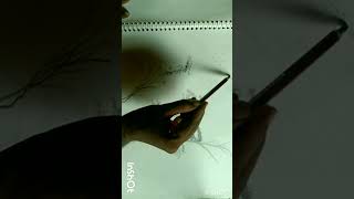 Portrait PENCIL shading scenery drawingart drawing short painting [upl. by Leahciam]