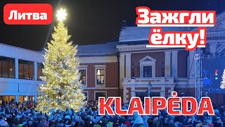 Настоящая красавица в KLAIPĖDA 🎄 ёлка ЛИТВА [upl. by Ybhsa]