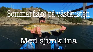 Sommarfiske efter stor havsöring på Västkusten [upl. by Thurnau]