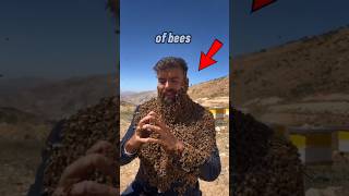 Beard On His Face Bees Swarm [upl. by Evoy]