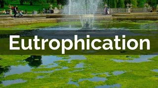 An introductory video about our project eutrophication [upl. by Adnirolc]