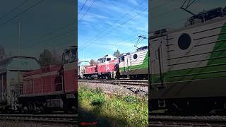 T3662 Tampere ViinikkaToijala 🇫🇮 VR rautatieasema art train video shorts 🛤️ [upl. by Susanne]