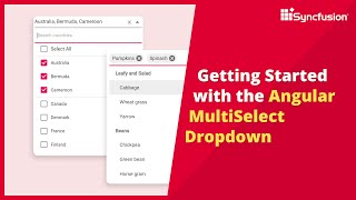 Learn Angular  Multiselect Dropdown In Angular Reactive Form [upl. by Anirdua628]