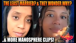 These Modern Women Reveal Why They Are Unmarried Single amp Struggling to Find Men Manosphere Clips [upl. by Nekcerb]