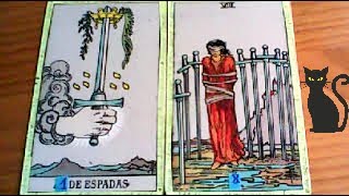 As de Bastos amp Rey de Espadas 💡COMBINACIONES DEL TAROT Y SU SIGNIFICADO [upl. by Ecenahs]