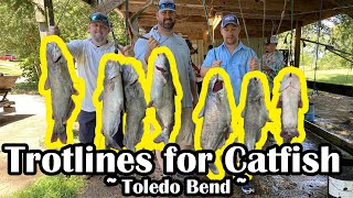 Trotlines for Catfish  Toledo Bend Fishing Trip  Trotline Fishing [upl. by Ecinahc68]