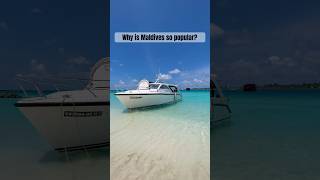 Honeymoon Paradise Maldives 😍 shorts beach 2023 travel [upl. by Asp]