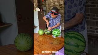 Fake Watermelon Prank 😂  New Viral Gadgets Smart Appliances Kitchen Utensils Home Inventions [upl. by Tini]