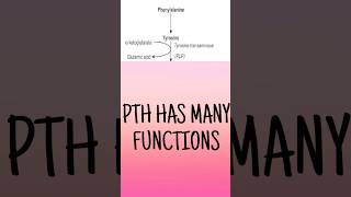 Phenylalanine catabolism mnemonic  Phenylalanine catabolism outline made easy biochemistryshorts [upl. by Bosson]