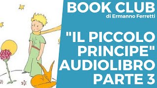 Il piccolo principe  Audiolibro spiegato parte 3 [upl. by Kevan374]