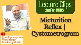 All you need to know about the Micturition Reflex  Cystometrogram  Guyton [upl. by Onez]