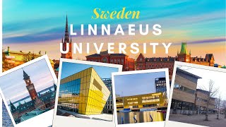 Introduction to Linnaeus University in Sweden [upl. by Dasha]