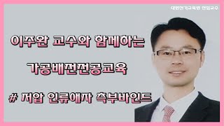 가공배전전공교육  저압 인류애자 측부바인드 [upl. by Summons]