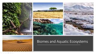 Biomes and Aquatic Ecosystems [upl. by Kcinom168]