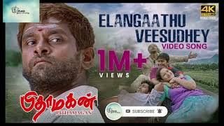 Elangaathu Veesudhey Video Song Pithamagan Ilaiyaraaja Vikram Suriya tamilsongs illayarajasongs [upl. by Adnovaj77]