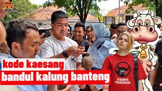 🆕KAESANG KODE KERAS KALUNGI BANTENG PAKE BANDUL [upl. by Asennav637]