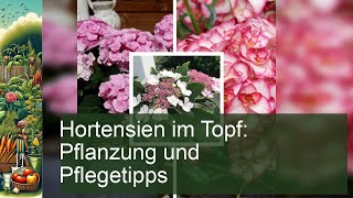 Hortensien im Topf Pflanzung und Pflegetipps [upl. by Refinnaj]